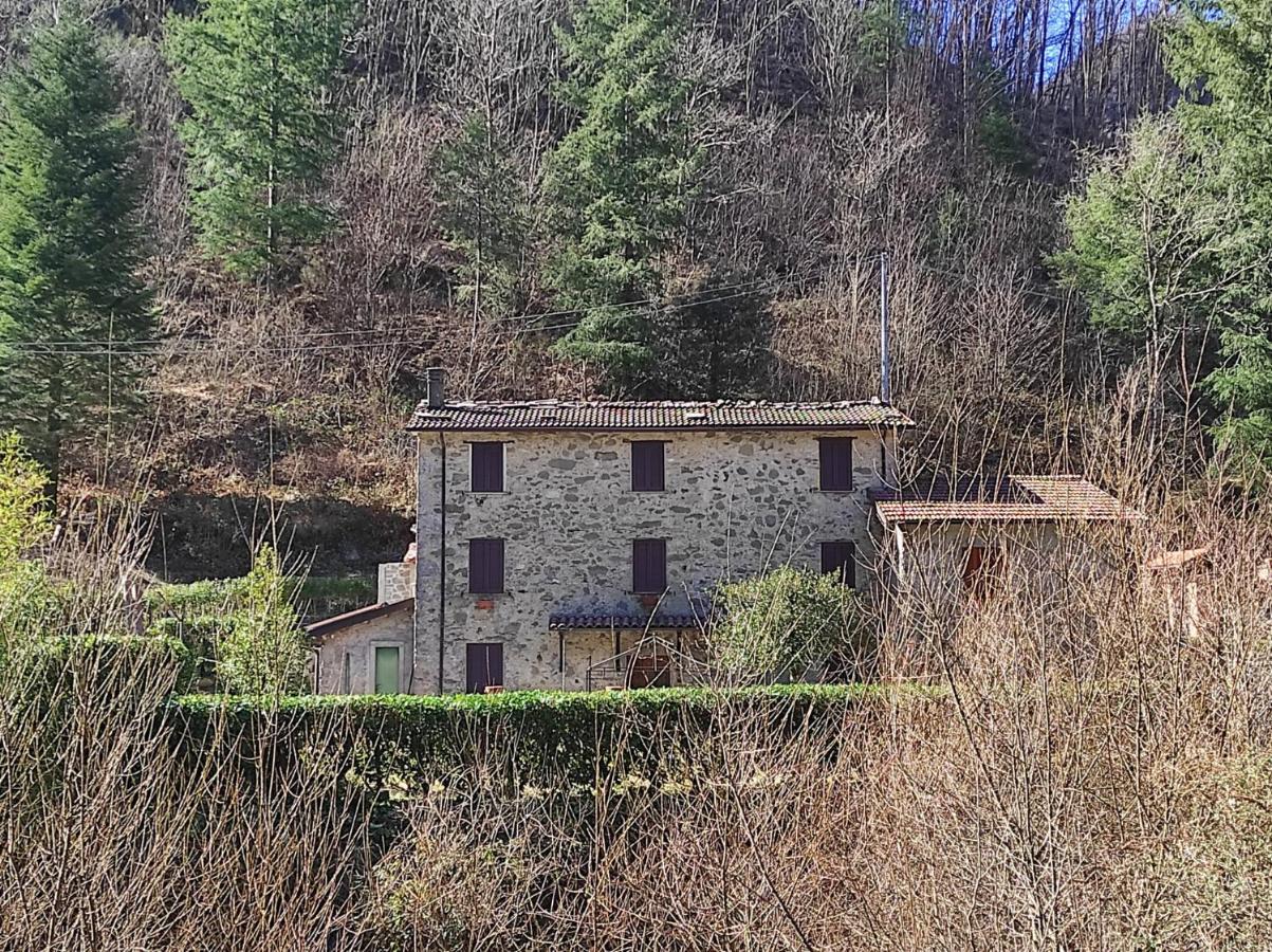 Casa Vacanze Il Boscaccio "Casa Massimo" Fornovolasco Екстер'єр фото