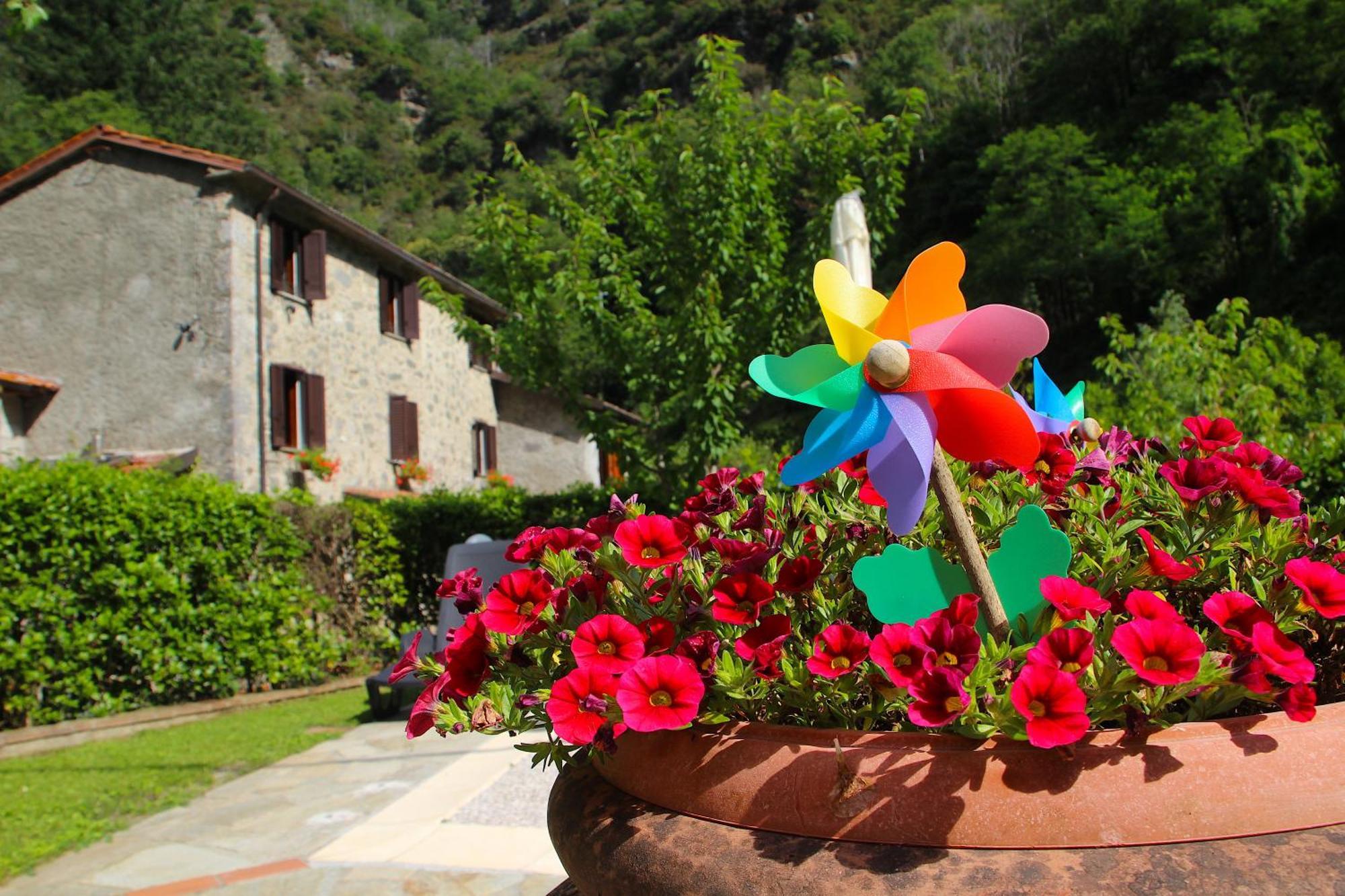 Casa Vacanze Il Boscaccio "Casa Massimo" Fornovolasco Екстер'єр фото